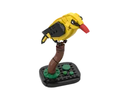 Golden oriole