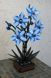 Blue Cymbidium (BT022)