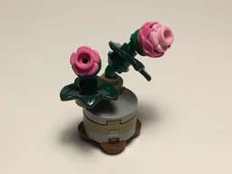 Micro Botanicals