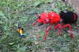 The Fire Ant Queen (V2)