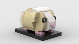 Guinea Pig - White & Blonde