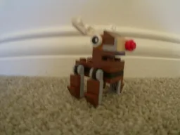 Reindeer