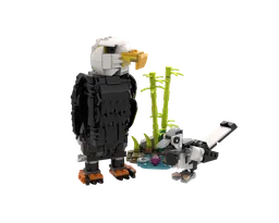 Bald Eagle