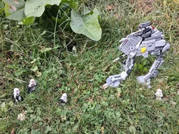 AT-AP