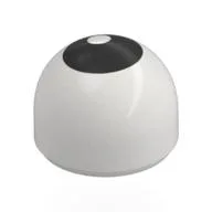 Dome 1 x 1 x 2/3 with Black Dot (Eye) Print