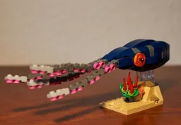 Squid / Cuttlefish