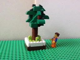 Park tree