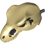 Animal Body Part, Dinosaur, Tyrannosaurus Rex Head with Pin, Skull Print / Tan