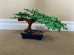 Bonsai Tree
