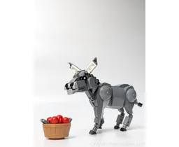 Donkey