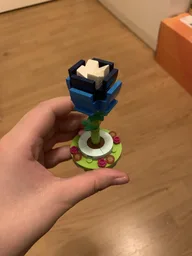 2 flowers (30417 alt)