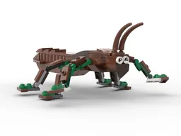 Stick insect - Phasmatodea - Insects Collection #001