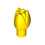 Plant, Flower, Tulip / Yellow
