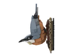 Nuthatch