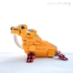 Walrus