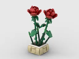 Rose in a pot