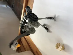 A timid ostrich