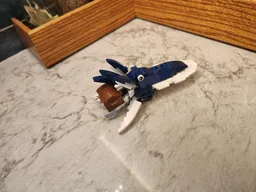31088 cuttlefish