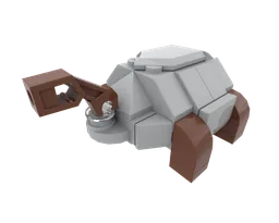 22 Tortoise