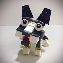 Boston Terrier