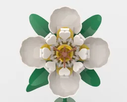 White Flower & Vase