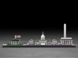 Washington Skyline