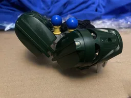 Crab