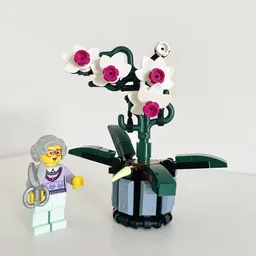 Micro Orchid