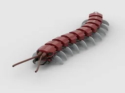 Centipede