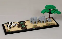 Savanna Biome