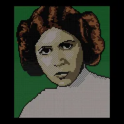 Princess Leia