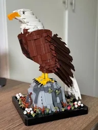 Bald Eagle
