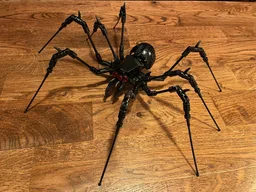 Creepy Spider