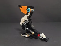 31129 Toucan