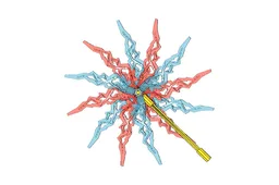 Pinwheel