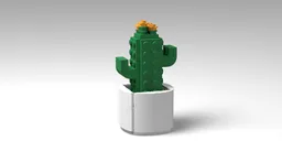 Cacti in a pot