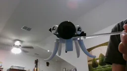 Cuddle fish (Subnautica)