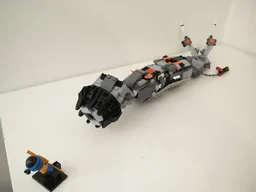 Horn-Tailed Carnivorous Worm