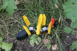 Ant