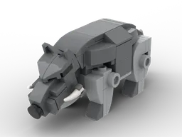 Boar