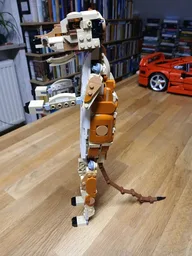 Meerkat