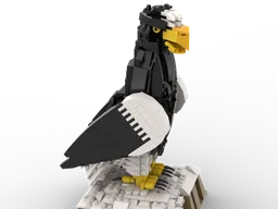Steller's Sea Eagle