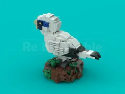 Bali Myna