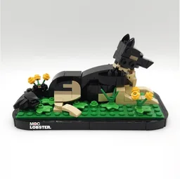 Sasha (German Shepherd)