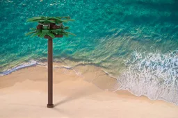 mini palm tree