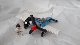 31099 Asymmetrical Plane