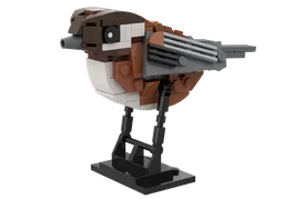 Chestnut Backed Chickadee (Poecile rufescens)