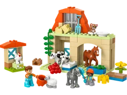 Caring for Animals at the Farm