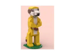 Meerkat
