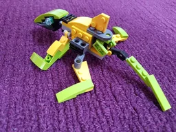 Lizard
